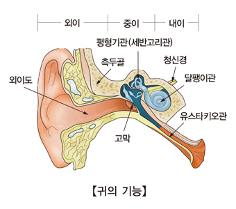 급성 중이염