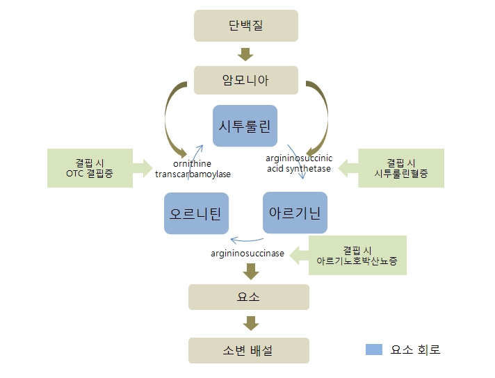 OTC 결핍증