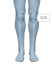 인체 다리 부분